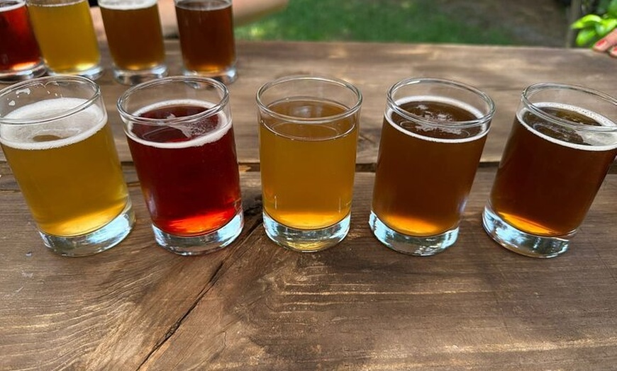 Image 13: Premium Xochimilco Trajinera Boat Tour with Mezcal & Craft Beer