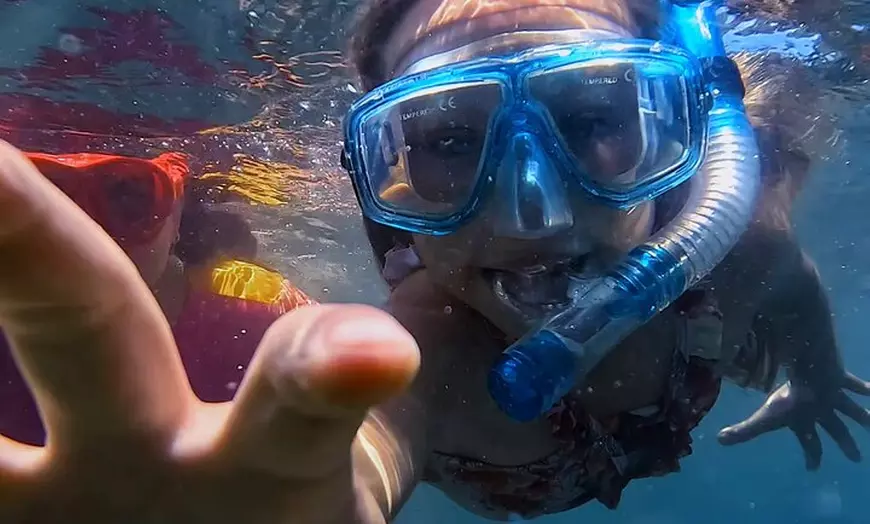 Image 6: Social Snorkel