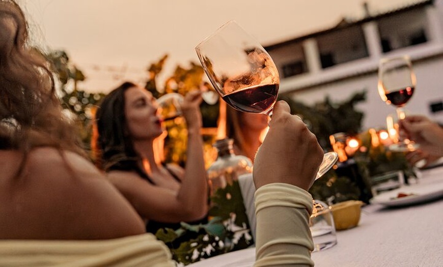 Image 19: Ibiza : Cata privada de vinos y aceites de oliva y Tapas y transporte