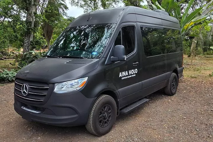 Waikiki Honolulu Private Airport Transfer Up to 10 Guests - Second Medium