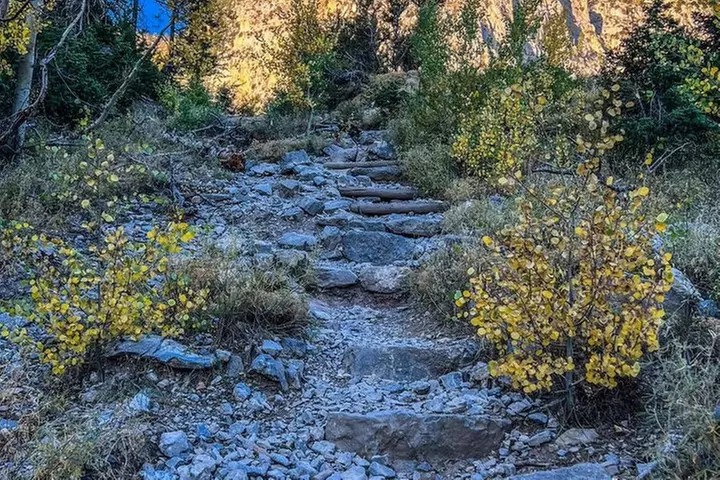 Mount Charleston Tour from Las Vegas