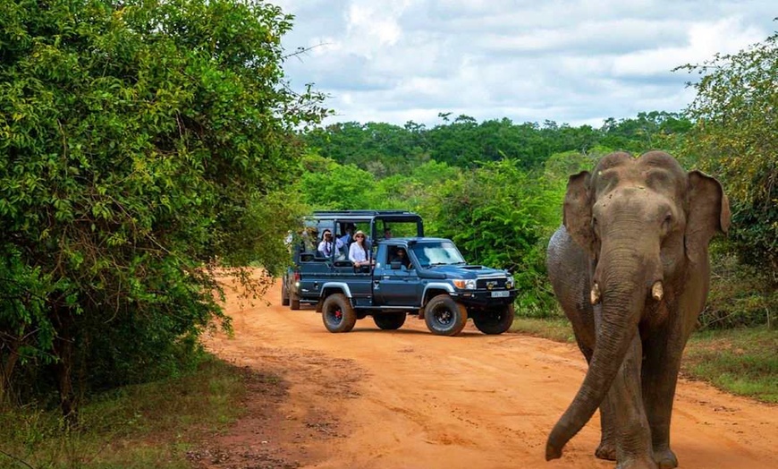 Image 29: ✈ SRI LANKA | Yala - Hilton Yala Resort 5*, 5 nuit - Tout inclus