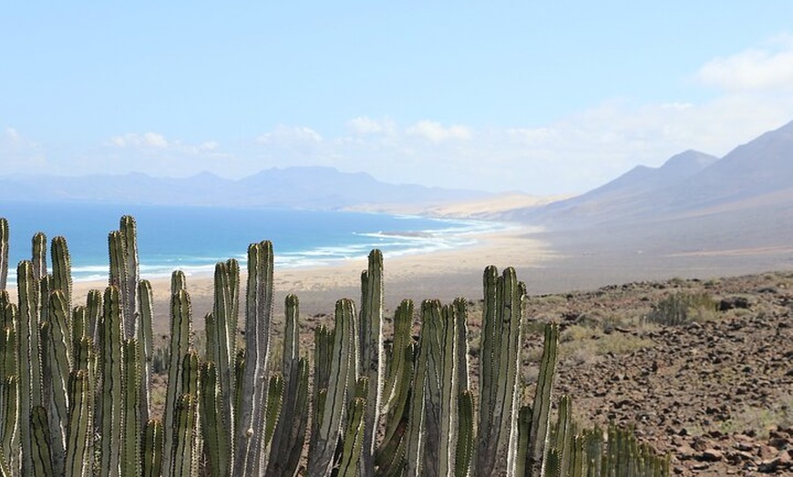 Image 2: Desde Norte Fuerteventura Tour 4x4 Cofetería y Parque Natural de Ja...