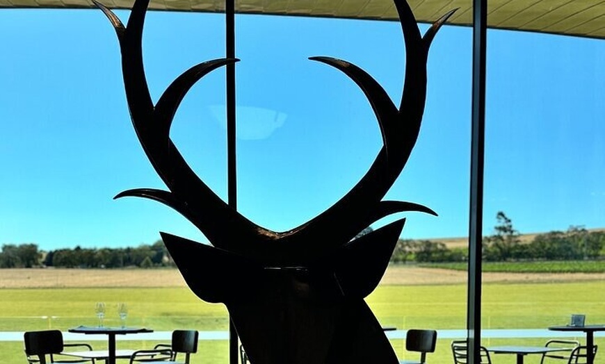 Image 14: Private Puffing Billy Steam Train and Healesville Sanctuary Tours