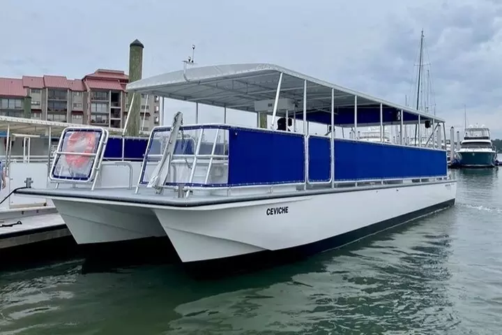 Small Group Hilton Head Morning Dolphin and Donut Cruise