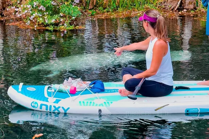 Silver Springs Manatee & Monkeys Paddle Board Tour