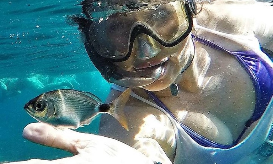 Image 9: Tour Familiar en Kayak y Snorkel en San Jose Cabo de Gata