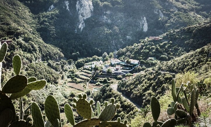 Image 11: Hidden Tenerife - Reserva Anaga a pie