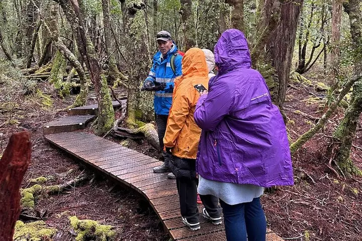 Cradle Mountain Half Day Dove Lake Guided Tour with Lunch