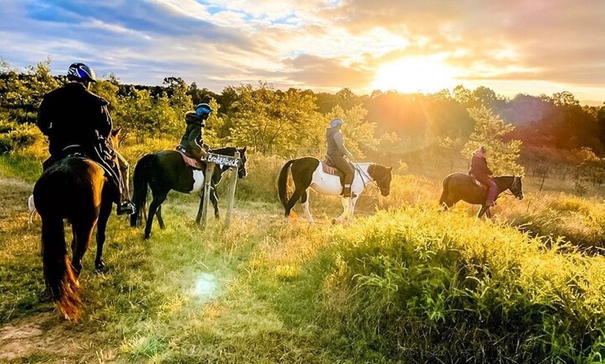 Image 3: Hunter Valley Sunset Horse Ride - 90 Minutes
