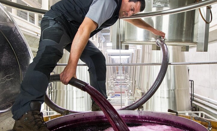 Image 8: Rioja Alavesa: Auténticas experiencias de vino