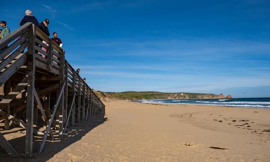 Image 10: Full-Day Phillip Island Tour with Kangaroo, Koala and Penguin Parade