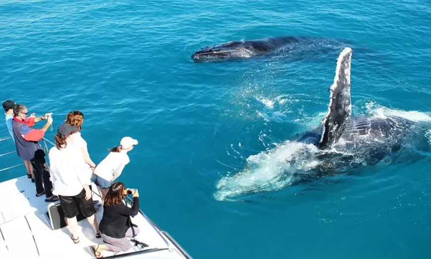 Image 1: Whale Watching Sunset Cruise from Broome