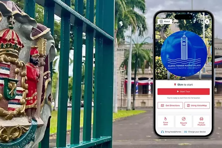 Downtown Honolulu and Chinatown: A Self-Guided Walking Tour - Primary Image