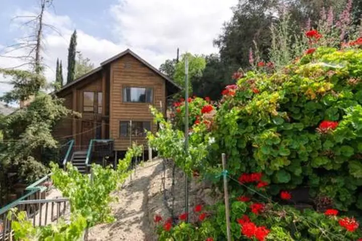 2 Hour Wildflower Horseback Trail Ride experience in Agoura Hills