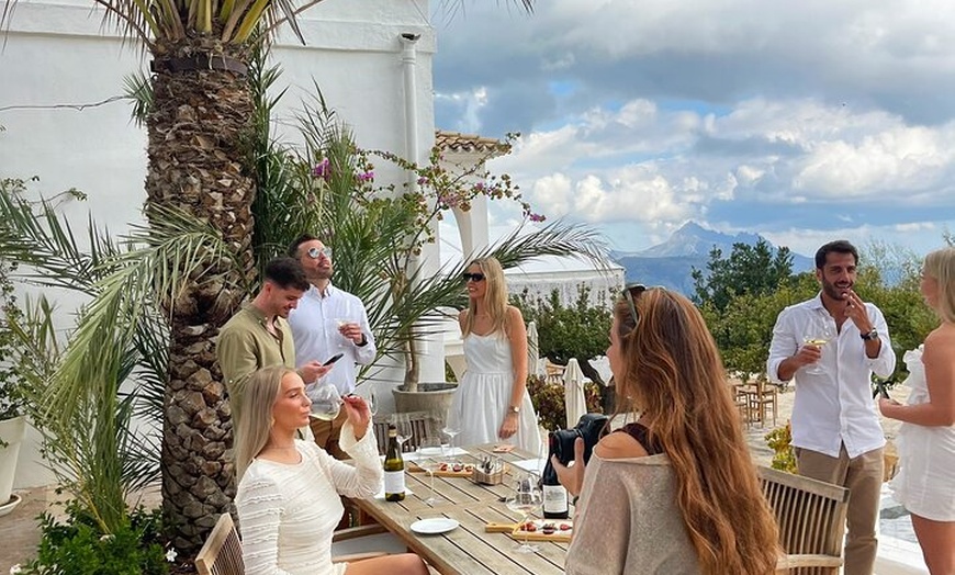 Image 3: Alicante : Catas de Vinos & Tapas Privadas en 2 Bodegas Boutique