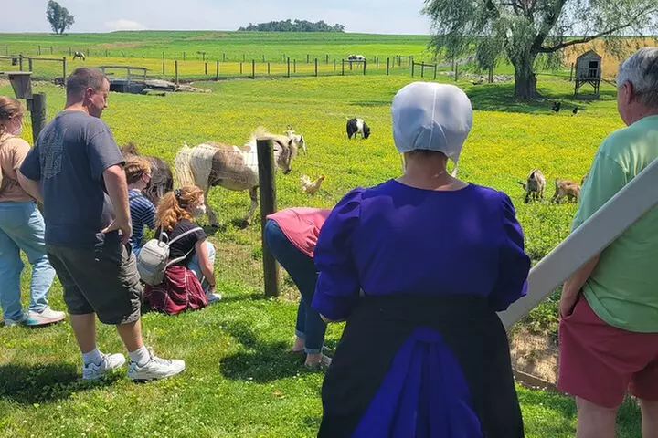 Unique Amish Immersion in Lancaster