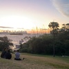 Image 10: Sydney: Golden Hour City Escape with Sunset, Picnic and Photos