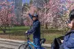 Central Park Pedicab Tour with Optional Natural History Tickets - Second Medium