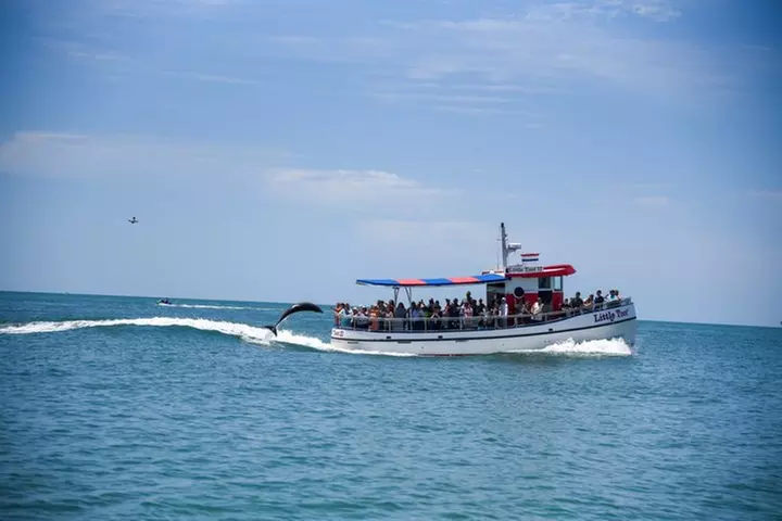 Little Toot Dolphin Adventure at Clearwater Beach
