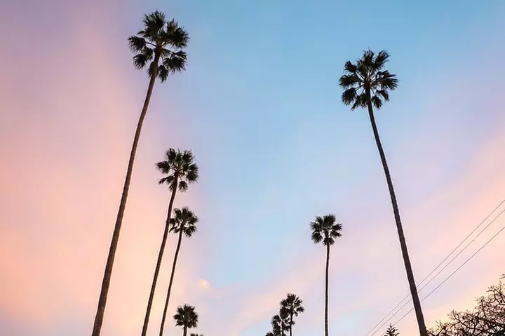 2-Night Bundle: Hollywood Night Tour with Dinner & Comedy Show