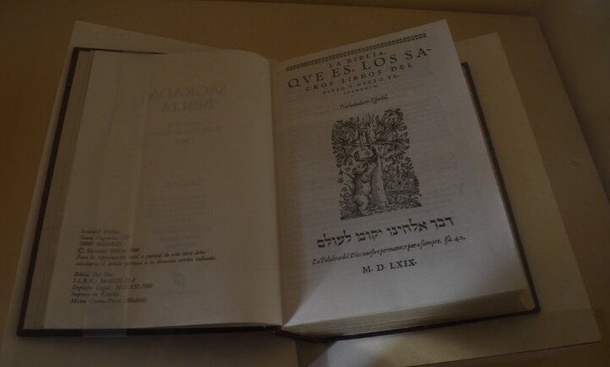 Image 8: Visita Guiada al Monasterio de San Isidoro del Campo