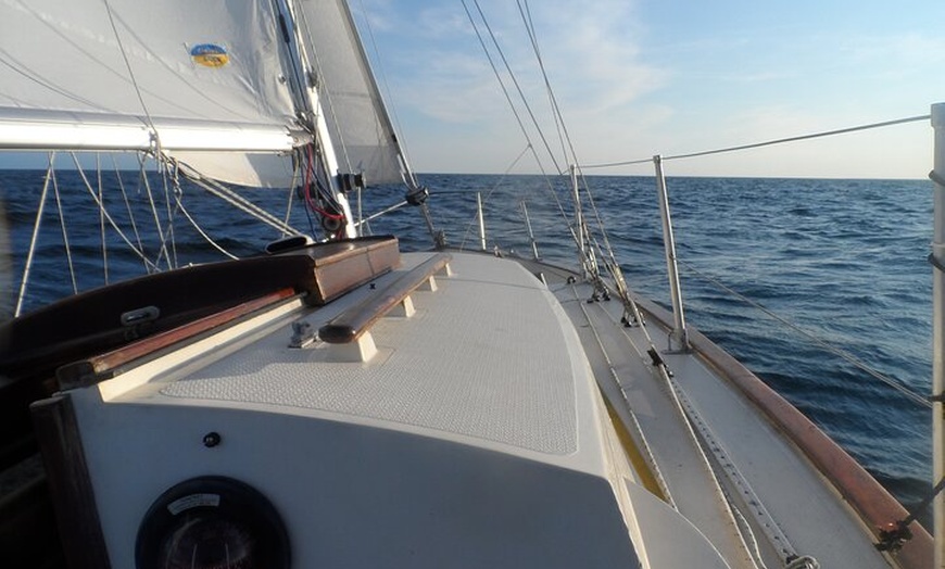 Image 3: Private Boat Tour from Helford River