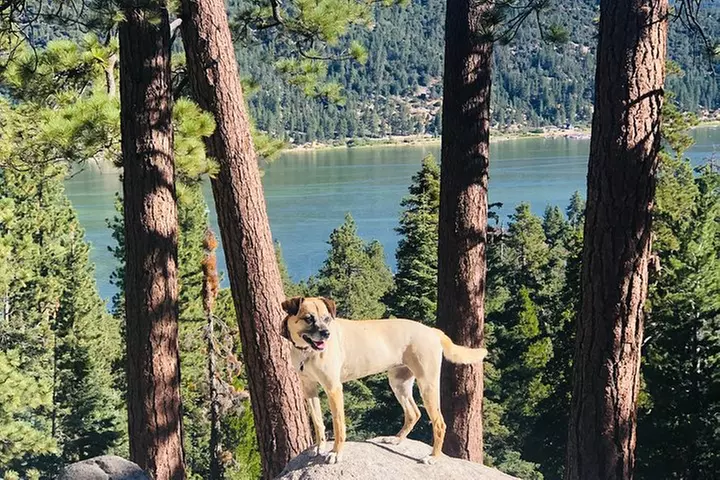 Guided Hiking Tour in Big Bear with Sunset Champagne toast on Priva...