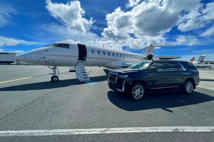 One-Way VIP Transfer: Honolulu Airport, Waikiki, Cruise Port