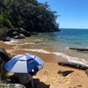 Image 4: Sydney: Ku-ring-gai Chase National Park with Hike, Swim, Picnic