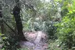 Private Tour El Yunque Rainforest swimming waterfall - Second Medium