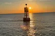 Destin Harbor Sunset Cruise: Scenic 2-Hour Experience - Second Medium
