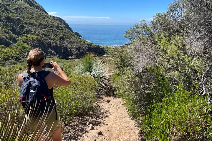 Deep Creek Hike: Trails and Tales with a Foreign Flair - Primary Image