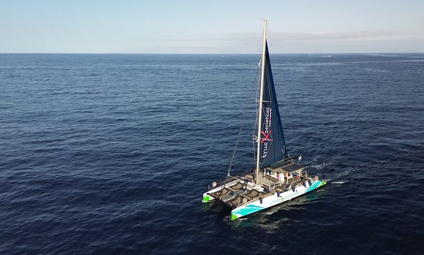 Image 2: 5 horas Avistamiento y escucha de ballenas y delfines visitando Los...