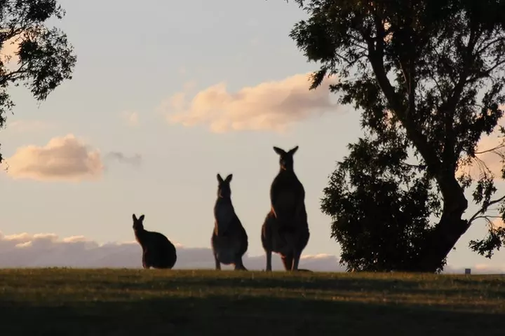 Living Legends Champion Racehorse Guided Tour - Primary Image