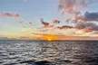 BYOB Sunset Cruise Waikiki - Second Medium