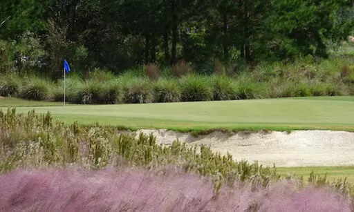 $55 For Green Fees For 2 Including Cart (Reg. $110)