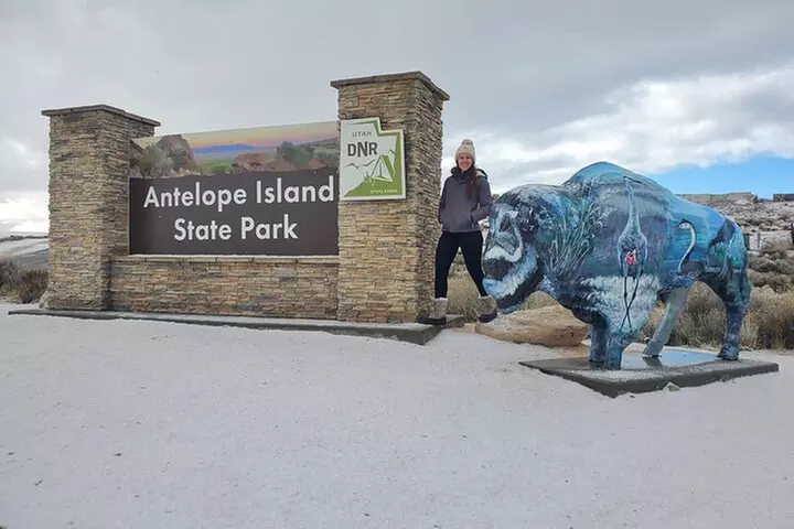 Great Salt Lake Safari - Discover Antelope Island
