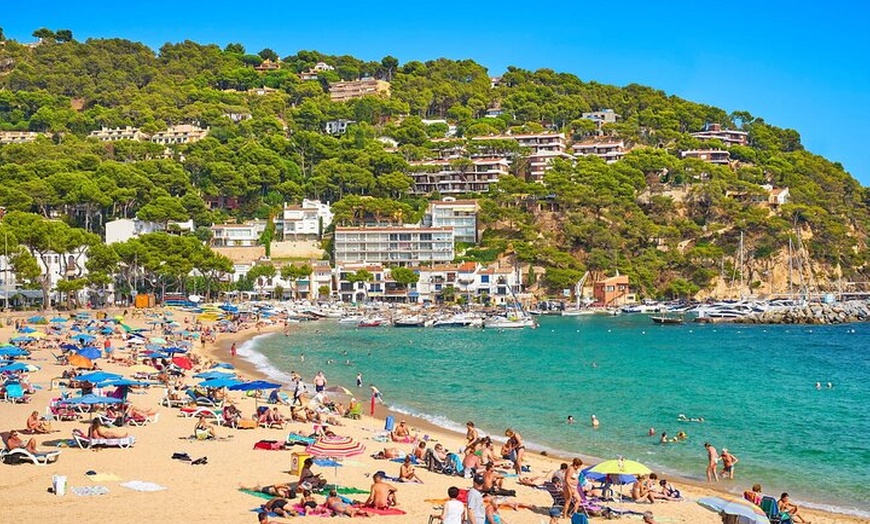 Image 7: Excursión privada de un día a Girona y la Costa Brava desde Barcelona