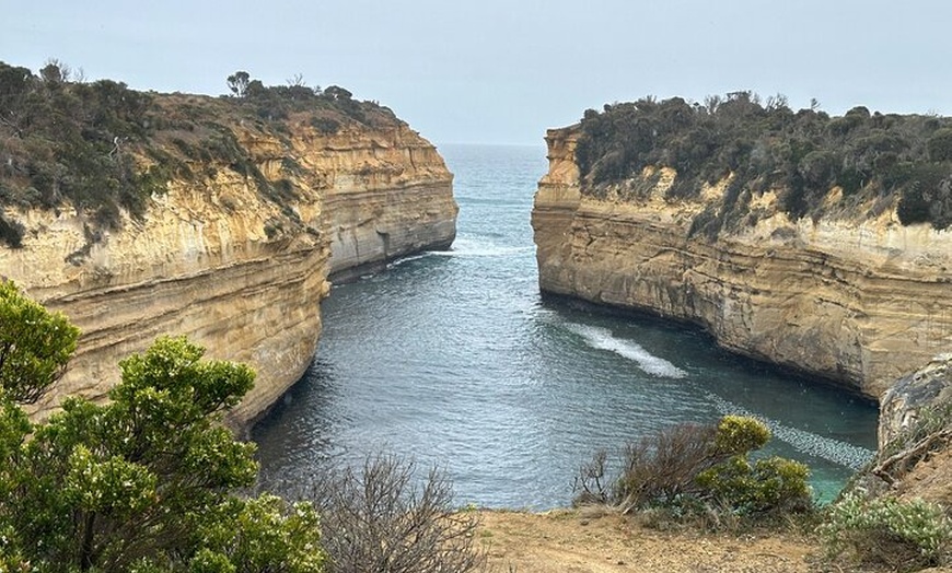 Image 6: Great Ocean Road 12 apostles PRIVATE Luxury Tour 5 PAX all incl.