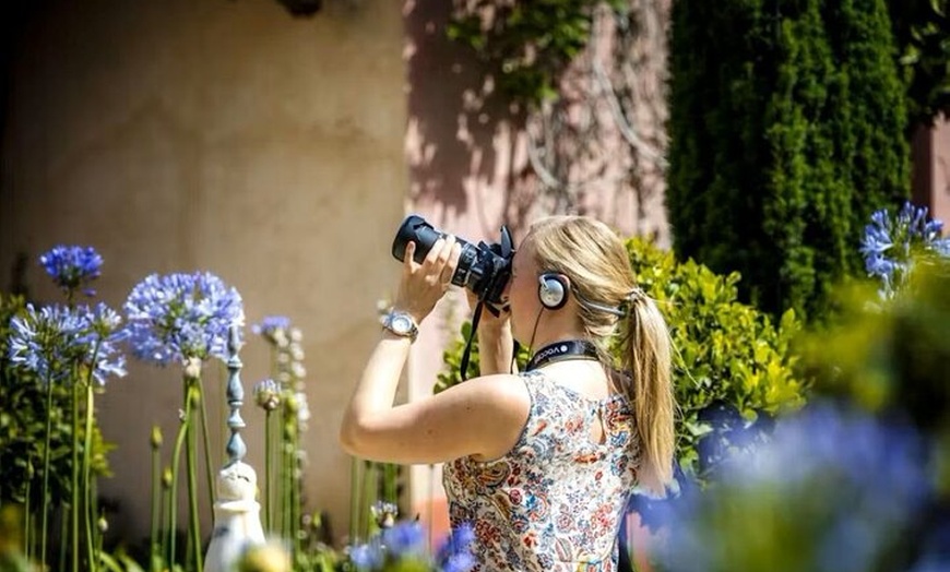 Image 3: Experiencia en mansiones y jardines aristocráticos de Sevilla