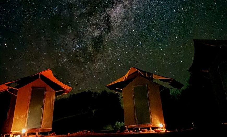 Image 8: 4 Day Tour in Red Centre Alice Spring to West MacDonnell
