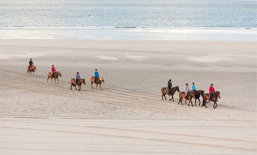 Image 4: Excursión a caballo cerca de la playa en la bahía de Alcúdia