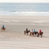 Image 4: Excursión a caballo cerca de la playa en la bahía de Alcúdia