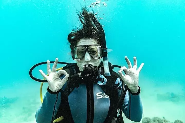 Mesmerizing Private SCUBA Diving Charter in Paradise from Waikiki