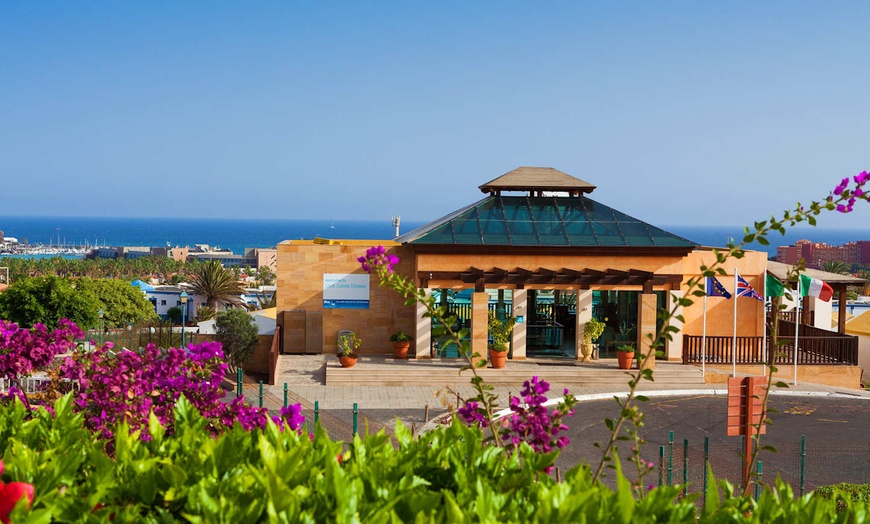 Image 14: ✈ FUERTEVENTURA | Caleta de Fuste - Caleta Dorada 3*, 4 nights - Al...