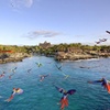 Image 1: Xcaret Park Day Tour & Night Show with Transportation