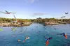 Xcaret Park Day Tour & Night Show with Transportation