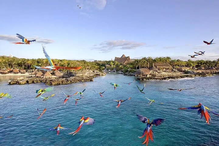 Xcaret Park Day Tour & Night Show with Transportation - Primary Image