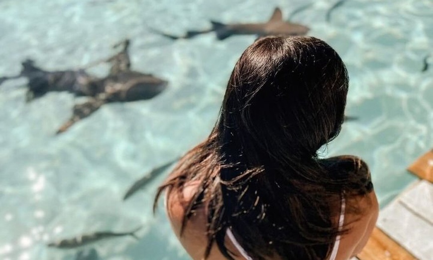 Image 3: Ultimate Exuma Cays Experience: Full-Day Group Tour from Nassau